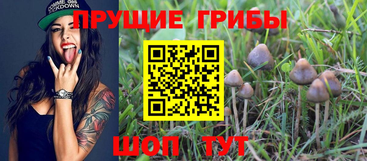 Бахчисарай  Галлюциногенные грибы Psilocybe  Псилоцибиновые грибы Cubensis  Вход с VPN 