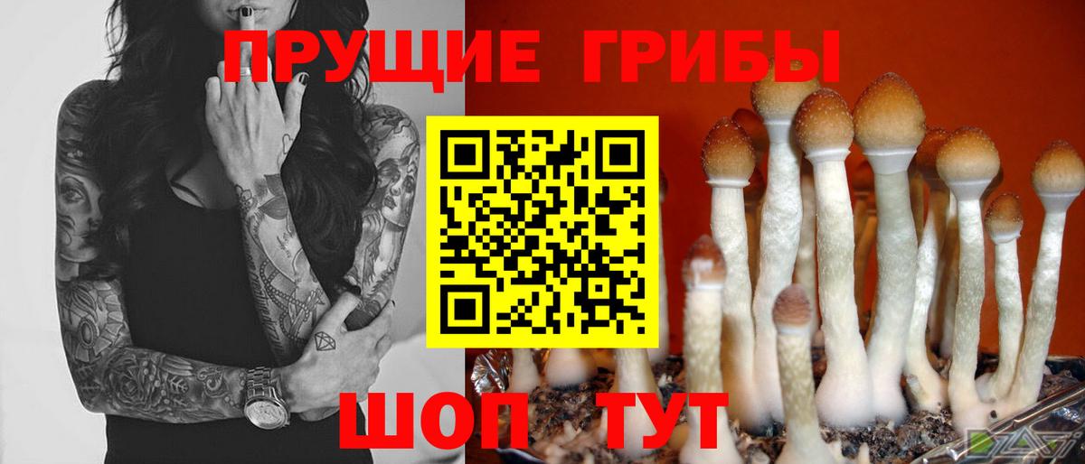 Галлюциногенные грибы мухоморы Бахчисарай